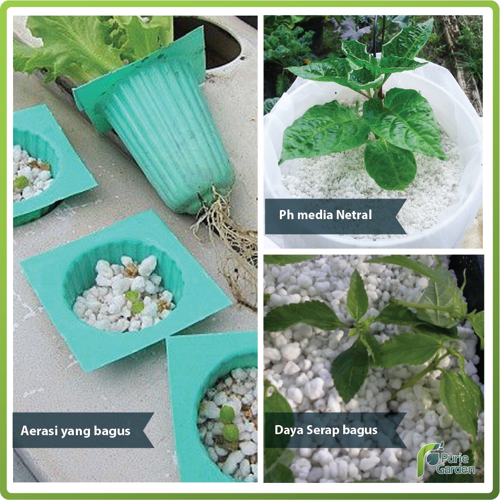 Perlite Media Tanam Hidroponik 1Liter