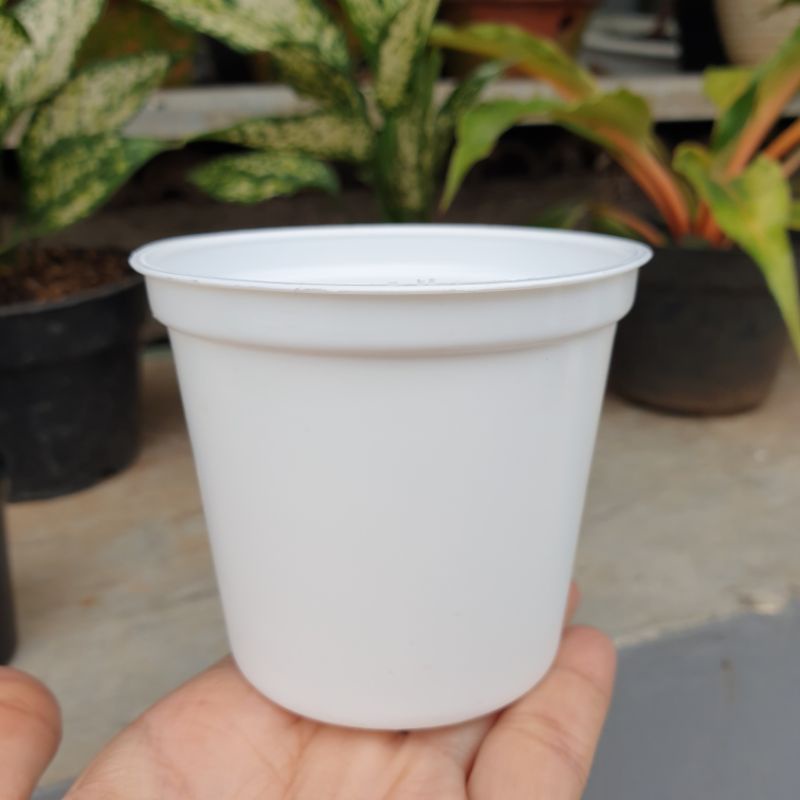 NKT BASIC POLOS 8 cm pot bunga kecil mungil pot kaktus pot mini