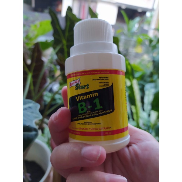 Jual Pupuk Vitamin B1 Tanaman 100ml | Shopee Indonesia