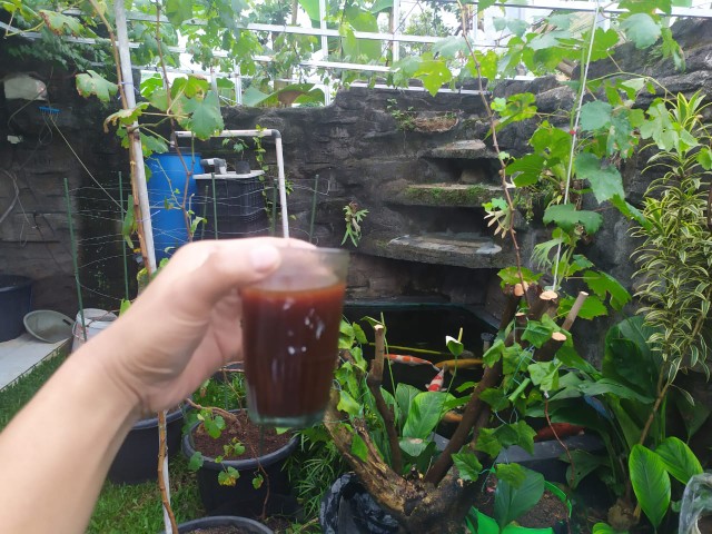 Parafilm M, Untuk Grafting/okulasi Ukuran 4 X 10 (10cm X 25cm)