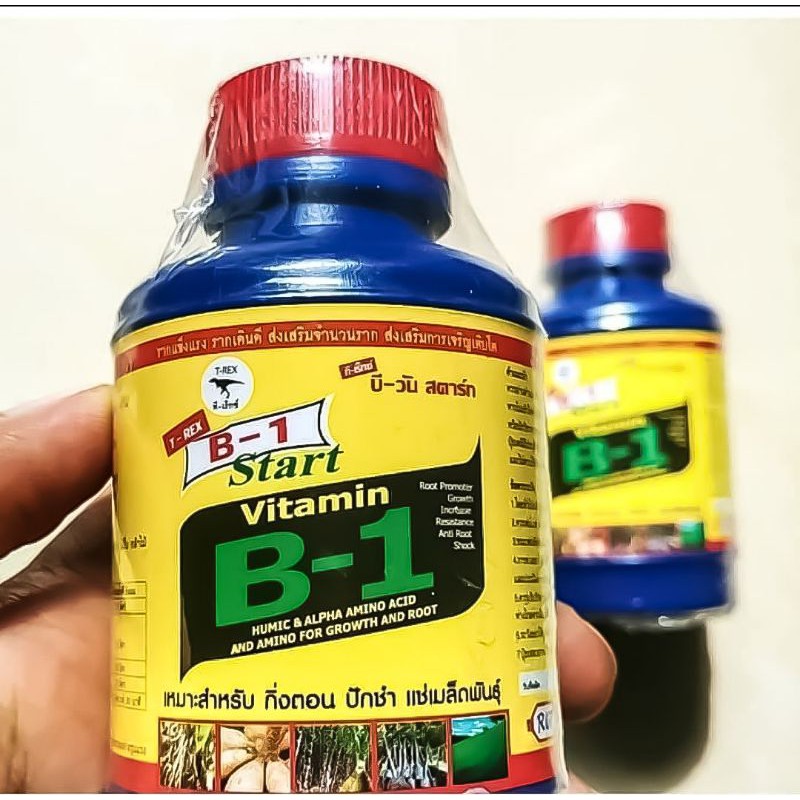 Pupuk Vitamin B1 Thailand 100ml Original/Pupuk Cair Vitamin B1 Star Thailand