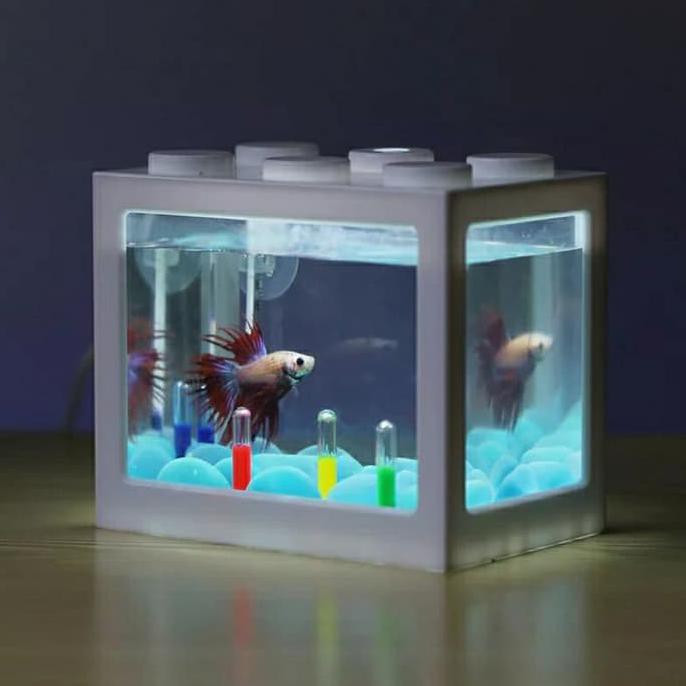 44+ Aquarium Cupang Lampu Gratis