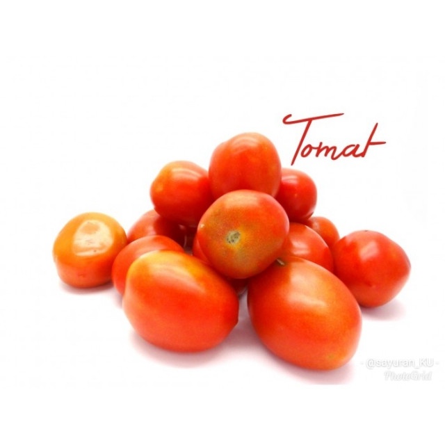

PASAR MINI JODEL - TOMAT MERAH 250GR