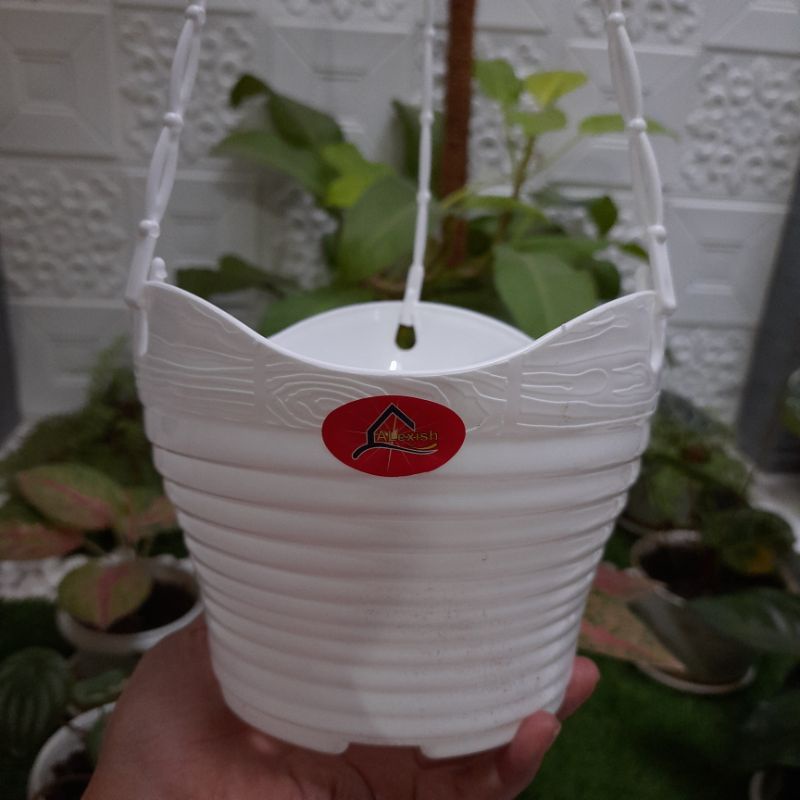 Pot Bunga Gantung Alexish Charlie 20 Putih / Pot Tanaman
