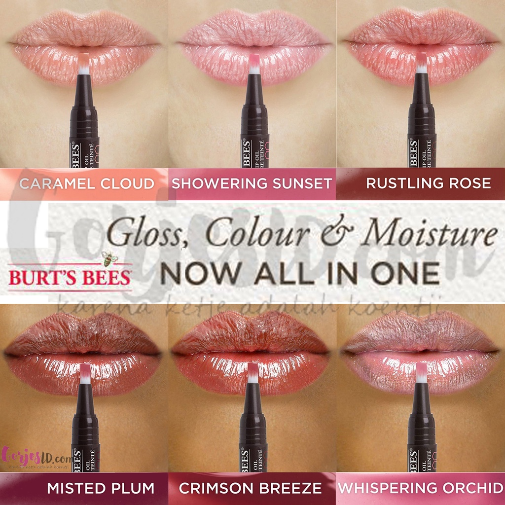 Burt's Bees Tinted Lip Oil original burt burts balm color colour warna