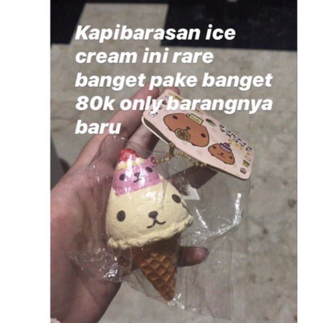 

kapibarasan icecream