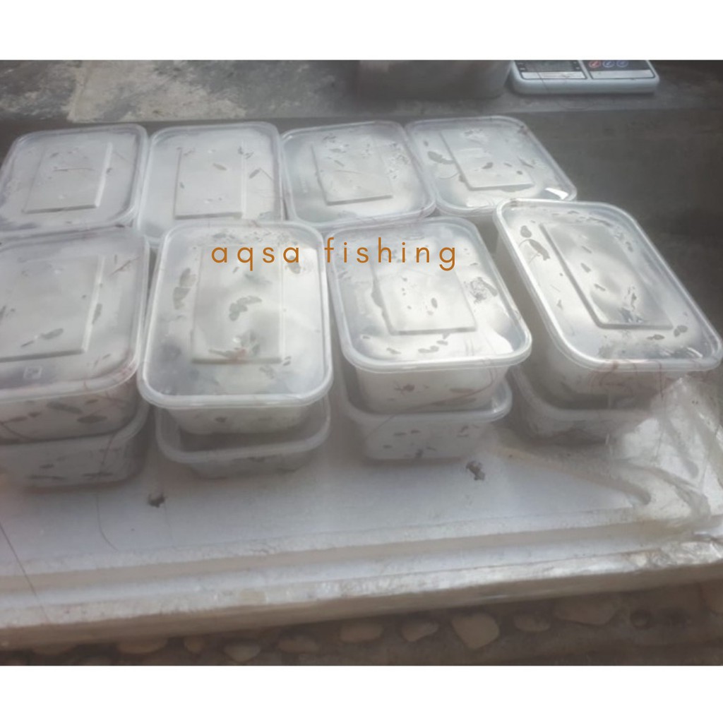 UDANG VANAME SEGAR 1 KG SIZE 50-60 MURAH