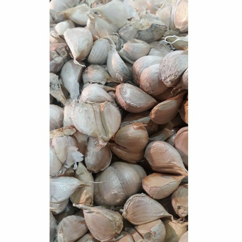 

bawang putih kating 27.000 per kg