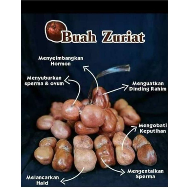 

BUAH ZURIAT promil 1kg /PROMIL ALAMI
