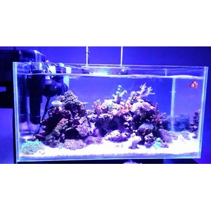 SH Wave Maker single JVP-101 pembuat gelombang ombak di akuarium aquarium