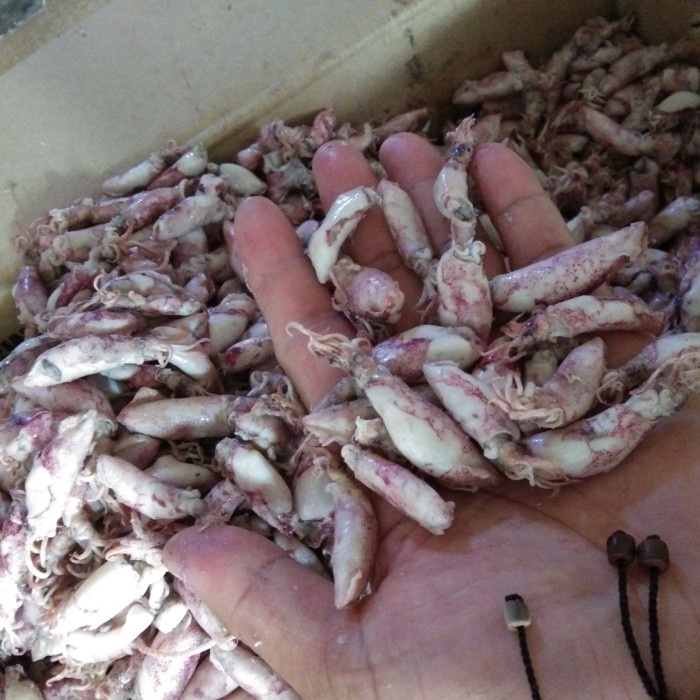 

CUMI ASIN BABY SUPER