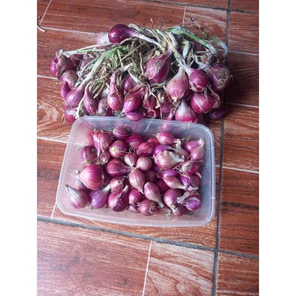 

bawang merah murah campur/ besar kecil