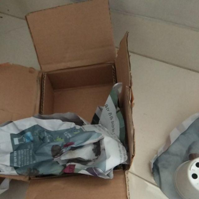 Kaktus Gimno Trikaler Per Pot