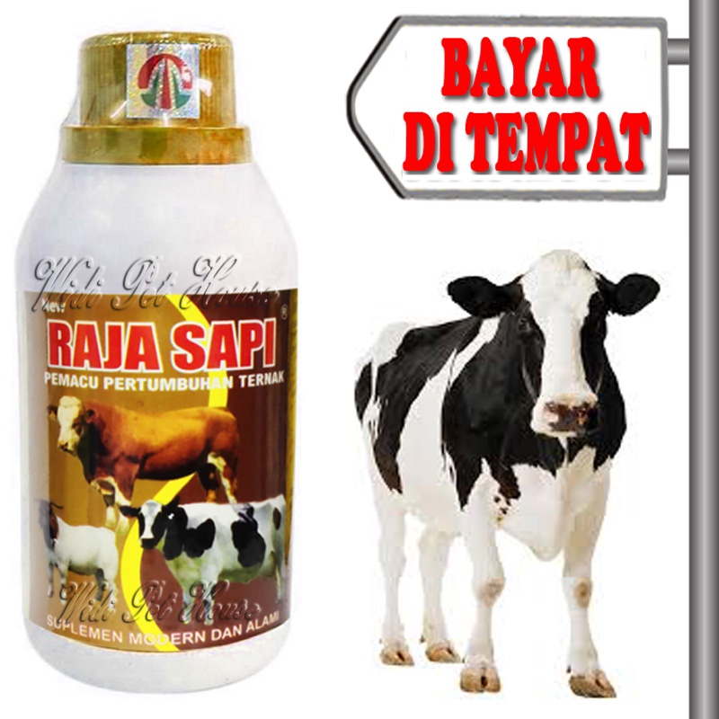 Vitamin Pertumbuhan Sapi Kambing Obat Nafsu Makan Penggemuk RajaSapi