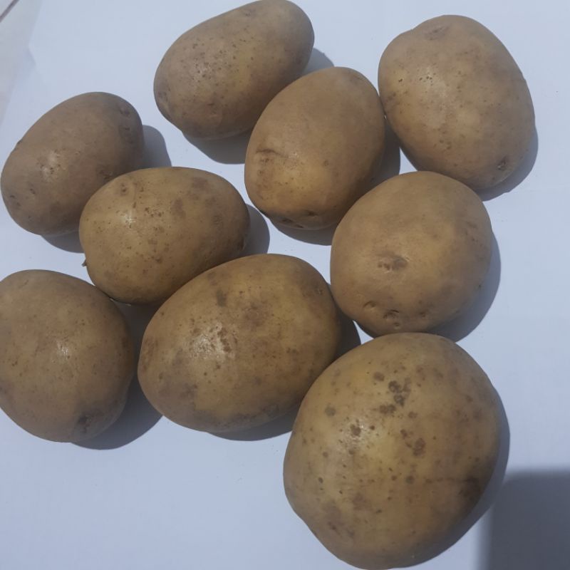 

KENTANG POTATO DIENG KILOAN ECERAN GROSIR SAYUR-SAYURAN
