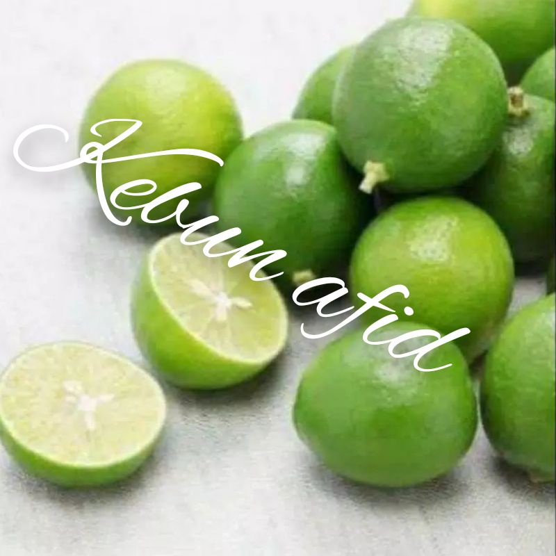 bibit jeruk nipis okulasi,cangkok