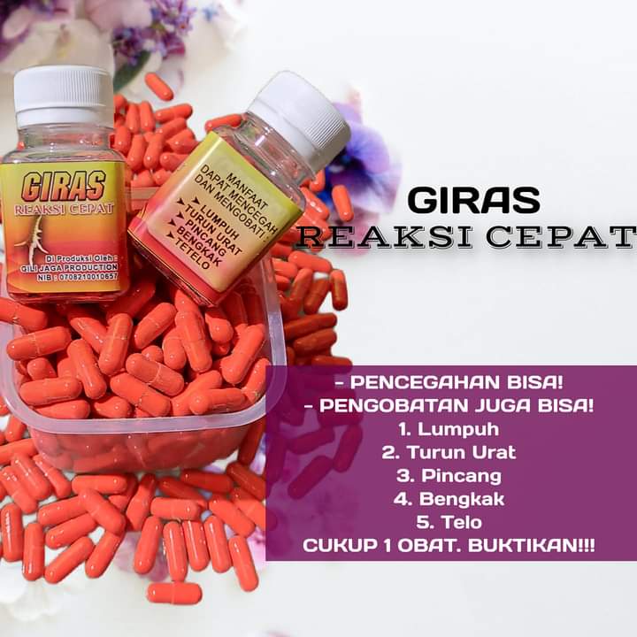 OBAT AYAM KAPSUL TURUN URAT AYAM GIRAS OBAT AYAM TURUN URAT LUMPUH BENGKAK