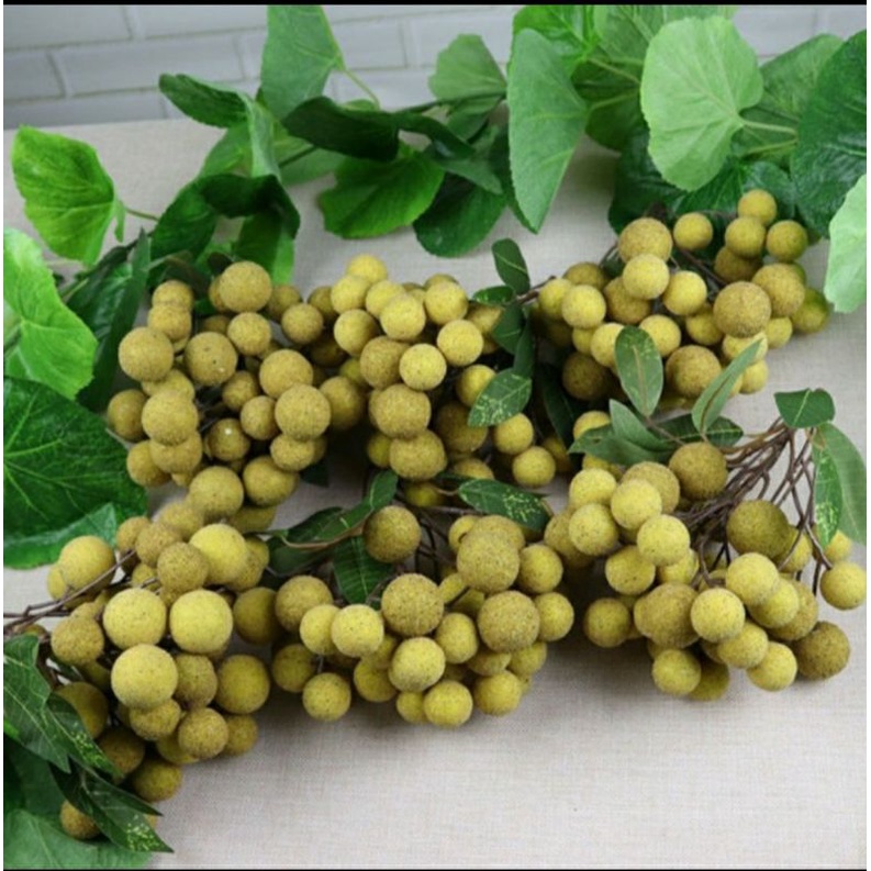 buah lengkeng palsu buah artificial hiasan meja buah pajangan