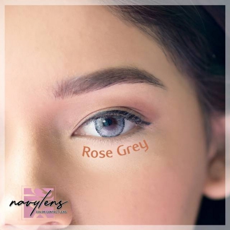 SOFTLENS OMEGA  NAVY LENS ROSE GREY 15MM ( MINUS 0,50 S.D -6.00 )