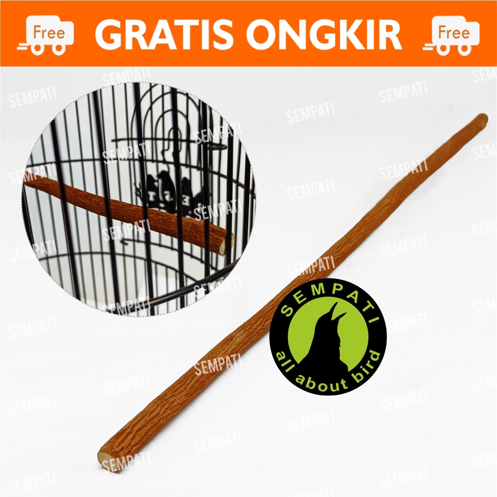 TANGKRINGAN PLECI KAYU ASEM JAWA ALAMI GRADE A PREMIUM TANGKRINGAN SANGKAR KANDANG BURUNG KECIL PLECI KOLIBRI KONIN SOGON SOGOK ONTONG 5 UP TO 7 MM PLECI SAMPING