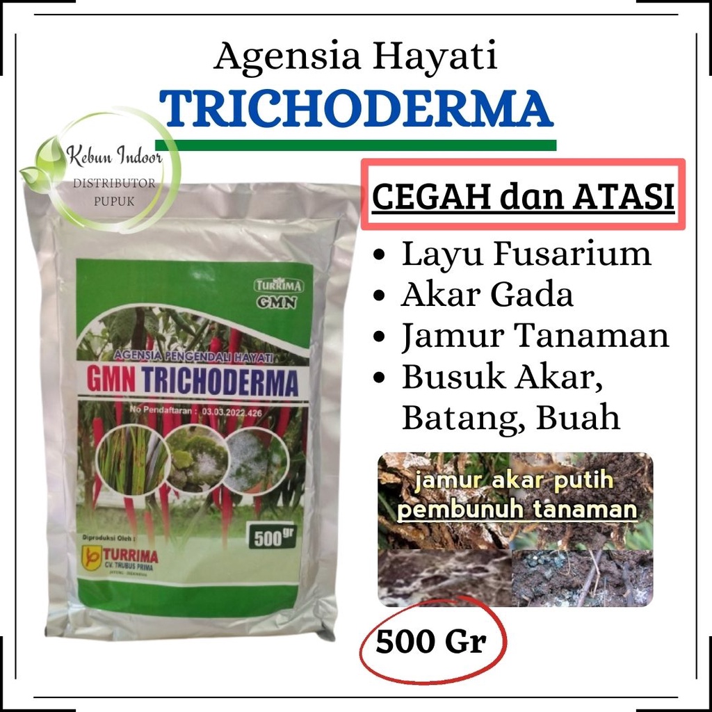 Pupuk Fungisida Hayati Anti Jamur GANODERMA Tanaman Kelapa Sawit, Trichoderma Untuk Sawit