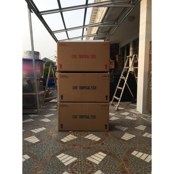 

Kardus Bekas Untuk Packing 75.5 cm x 42.5 cm x 41.5 cm TERJAMIN