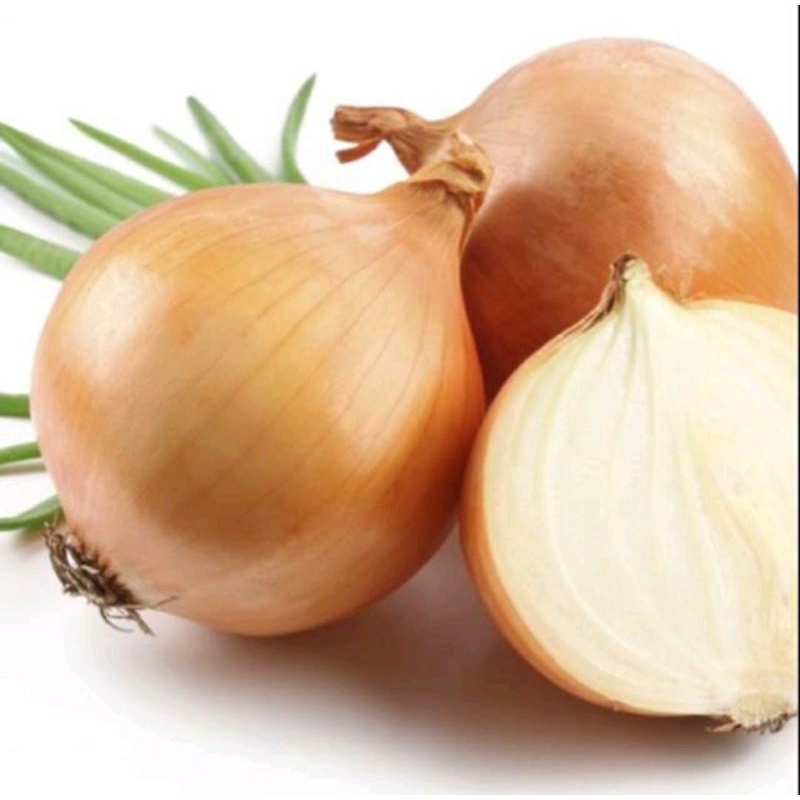 

Bawang bombay asli & segar 1kg