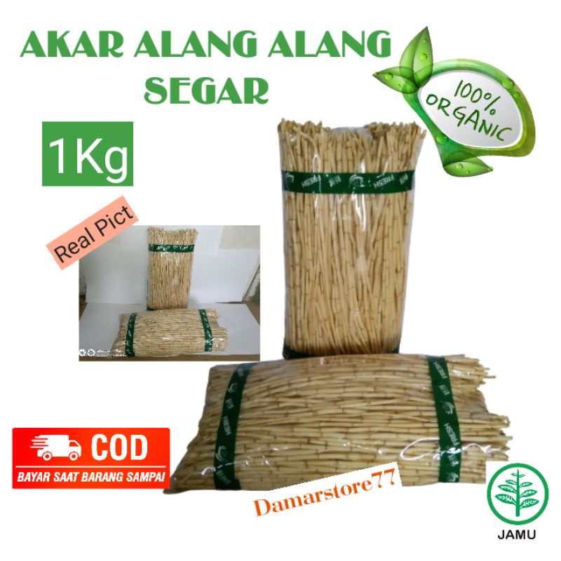 

Akar Alang Alang Segar Alang Alang Fresh Obat Herbal Tradisional 100%Organik