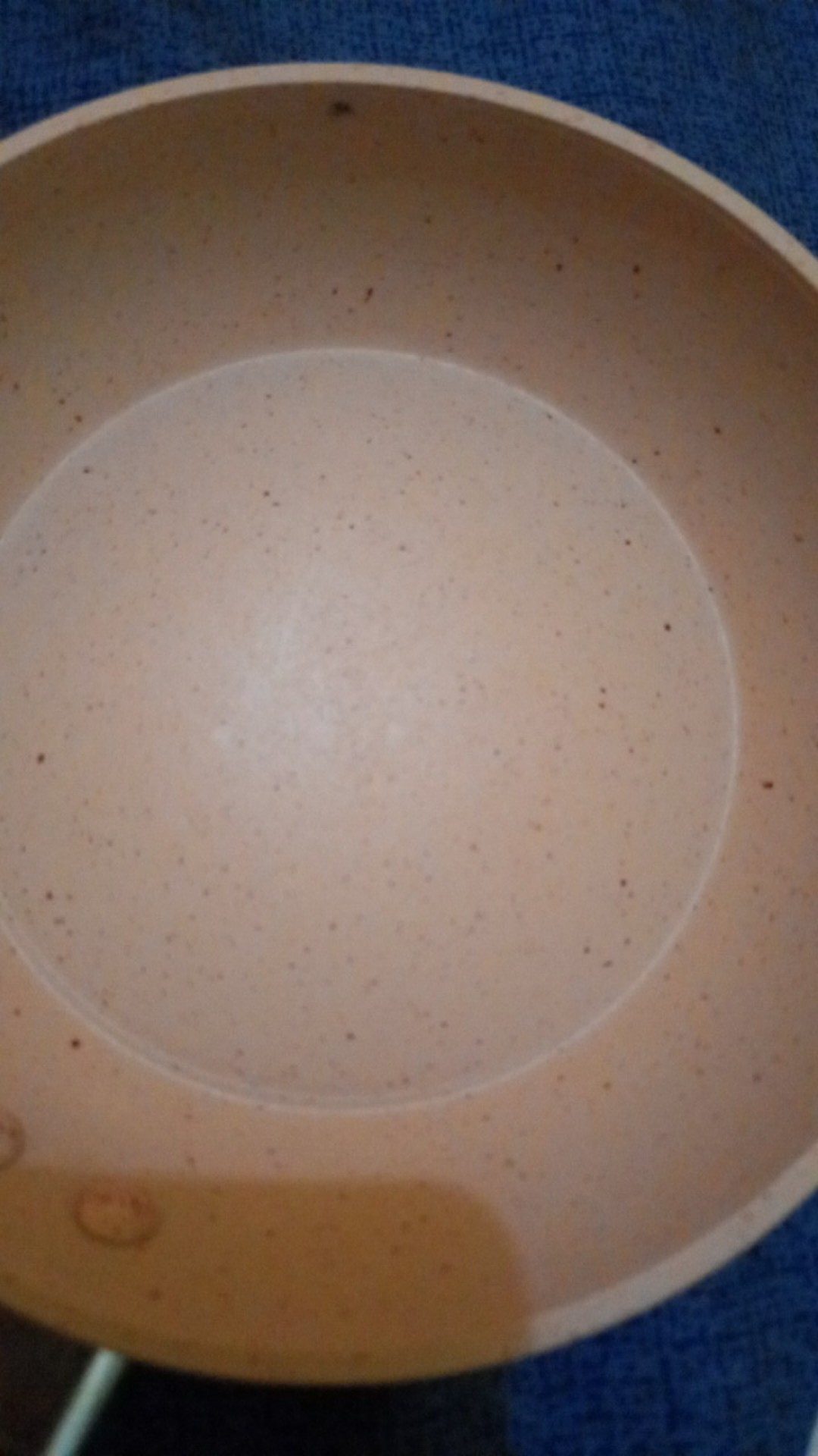 Fry Pan Wooden Touch