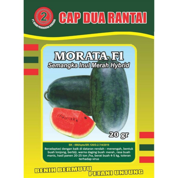 semangka inul merah hybrid_ MORATA F1