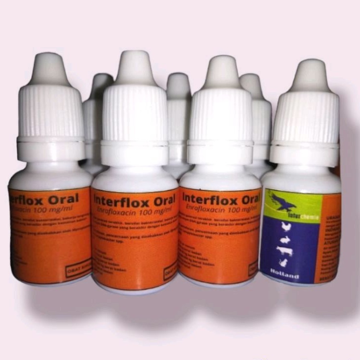 OBAT KUCING- INTERFLOX ORAL