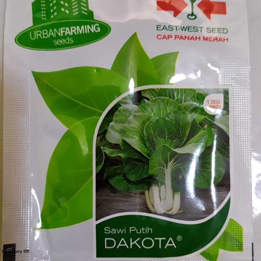 Benih Bibit -Sayuran Sawi Putih DAKOTA - Cap Panah Merah
