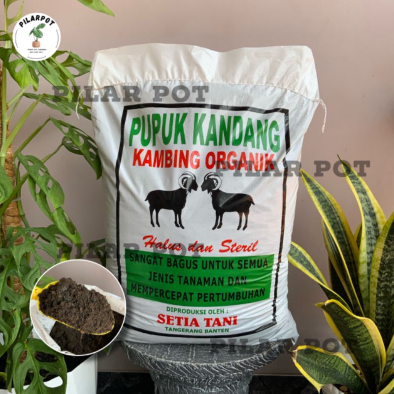 pupuk kandang kambing organik halus dan steril mempercepat pertumbuhan