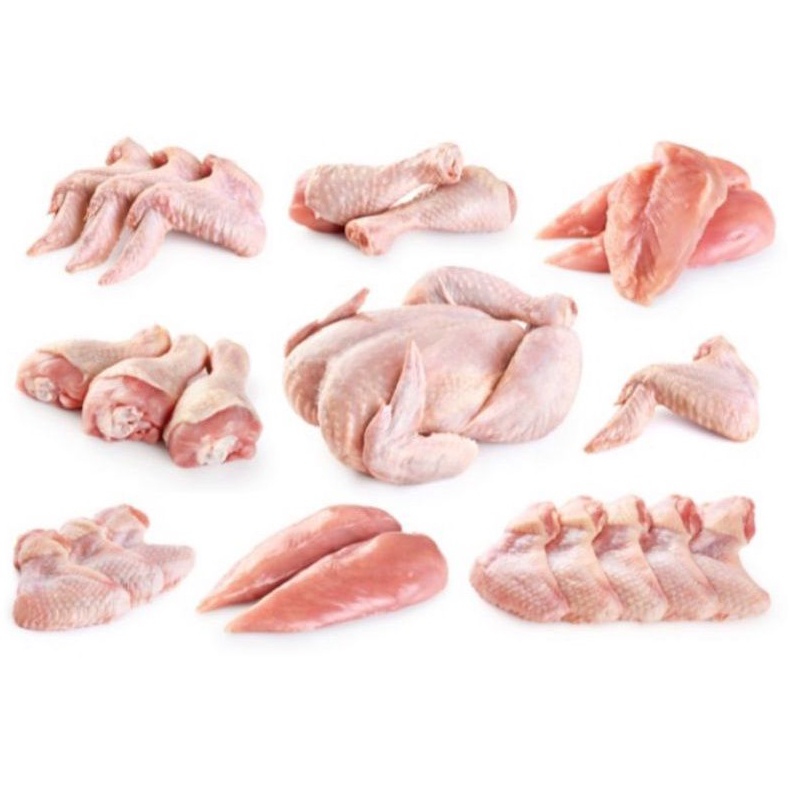 

Daging ayam broiler