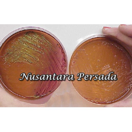 Alat Lab Media Tumbuh Sel Eosin Methylene Blue Agar 1 Pack