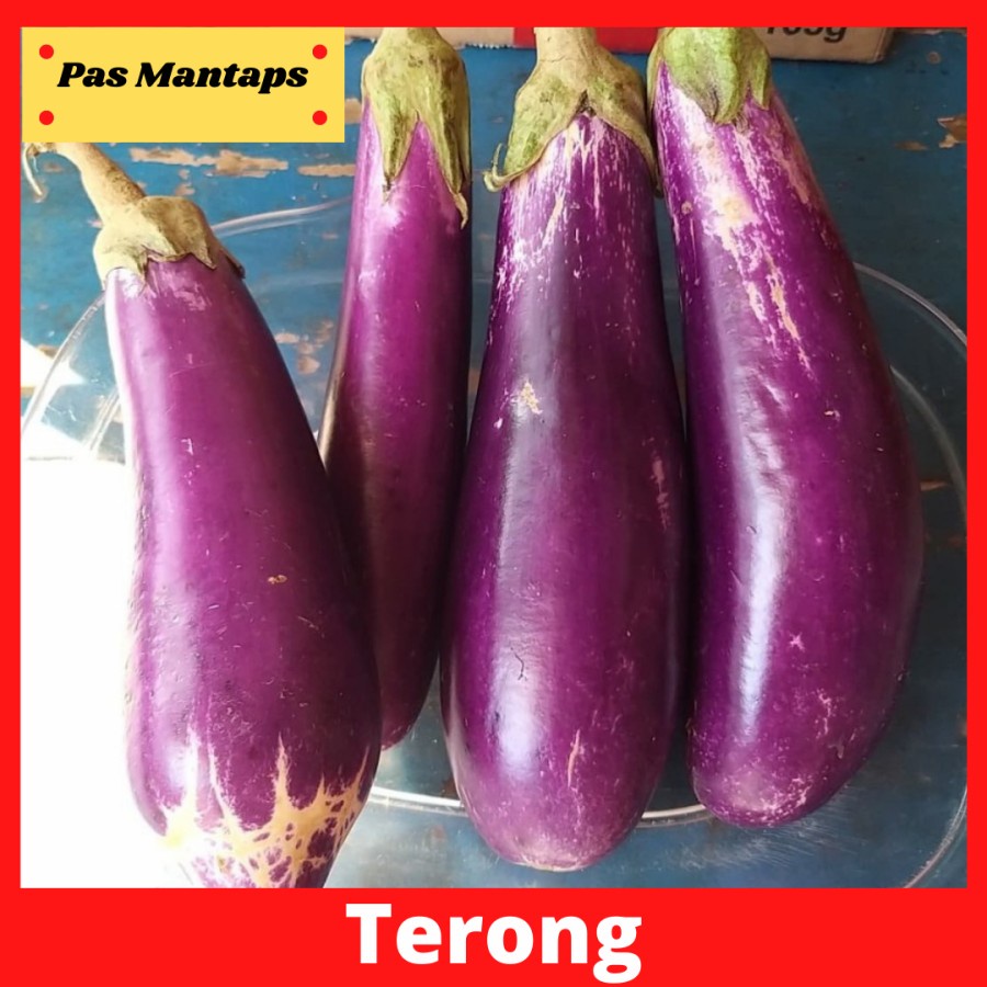 

Terong Ungu 500 gram Segar Pasar Murah Bekasi
