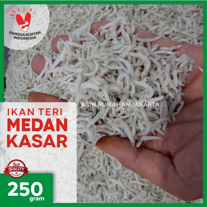 

PROMO Ikan Teri Medan KASAR 250 Gram / Ikan Teri Nasi / Ikan Asin