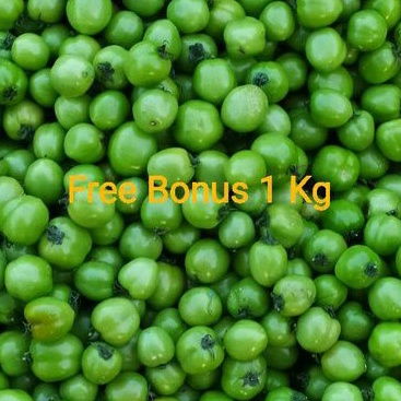 

Tomat Hijau Segar 500aGr + Gratis Bonus