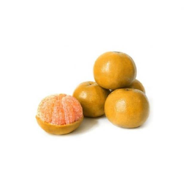 

Jeruk Medan fresh berat 900gr-1100gr