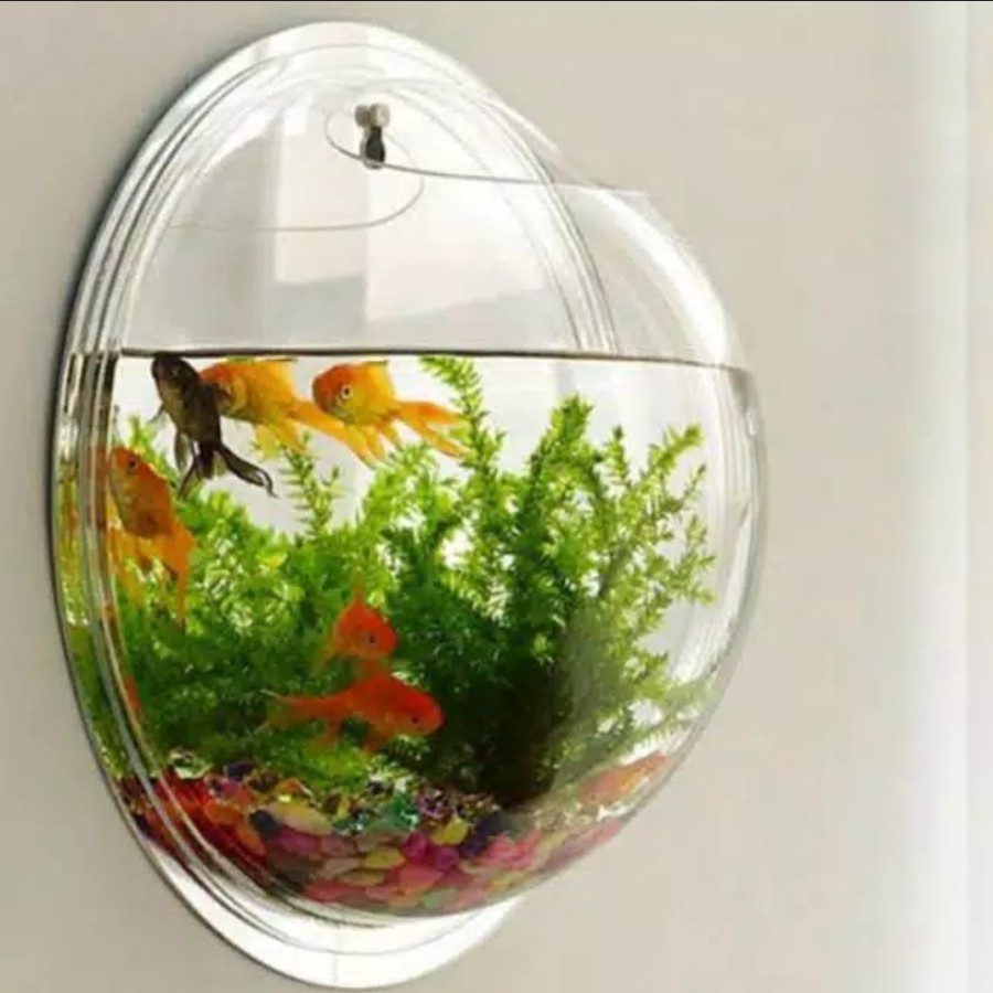 HANGING AQUARIUM BEYOND 1,8L AQUARIUM GANTUNG D.25 CM