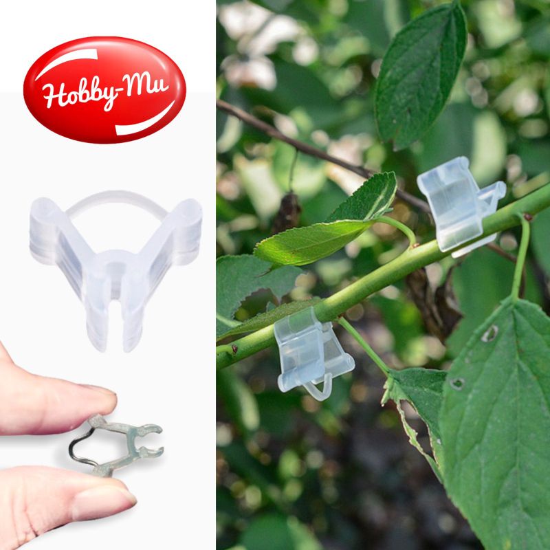 Klip Grafting Grafting untuk Tanaman Bunga 50pcs