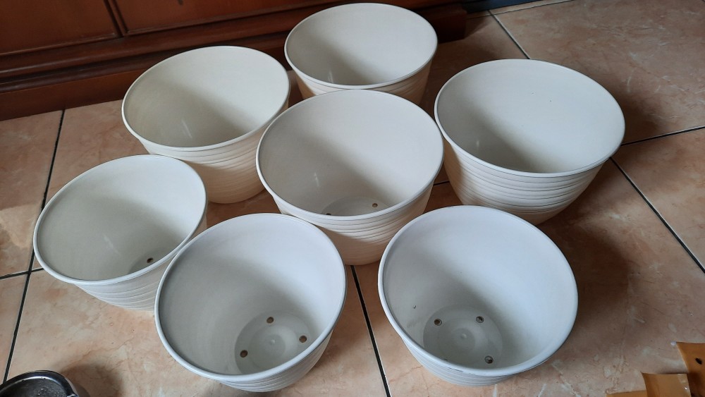 Ori 100% Pot Tawon - 18 Cm Asli Budi Jaya Bjp Bunga Pupuk Daun Benih Bibit #dirumahaja