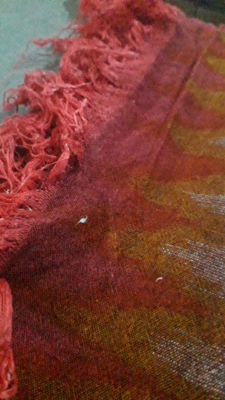 Isi 100 Pcs Stiker Bintang Glow In The Dark Menyalap Dalam Gelap