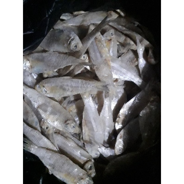 

ikanasinlapan1kg murah