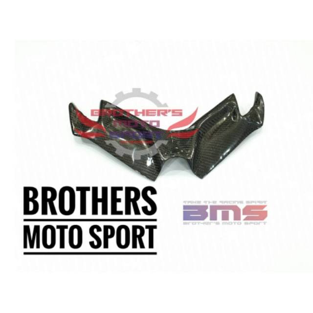 winglet ninja 250FI winglet karbon ninja250fi winglet NINJA 250FI