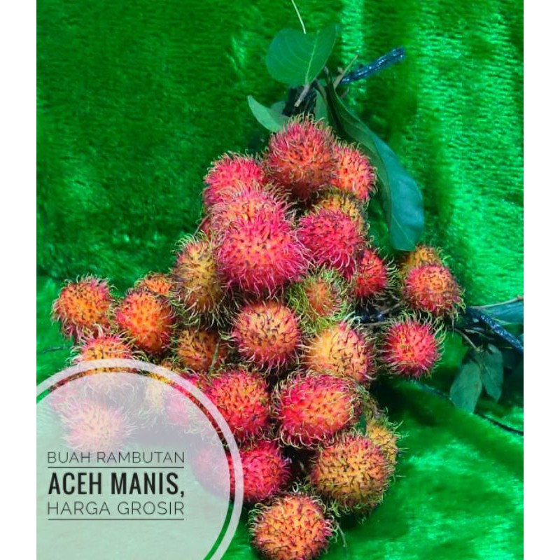 

BUAH RAMBUTAN BINJAI MANIS