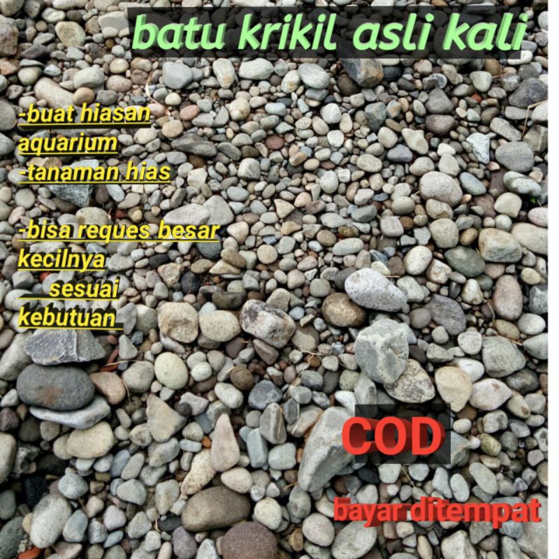 batu kali kerikil hiasan tanaman aquarium asli kali