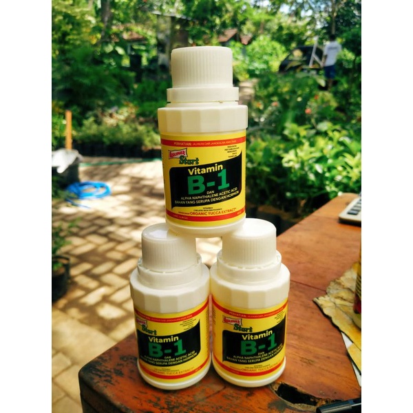 Vitamin Tanaman B-1