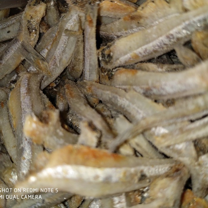 

teri jengki bulet 1kg