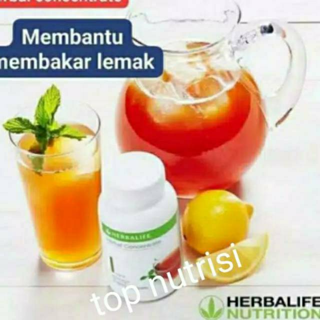 Herballife tea concentrate  | thermo tea | herballife shake f1